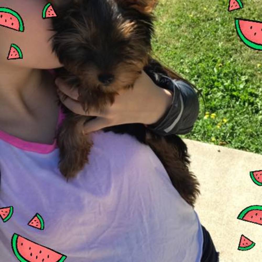 Meet your Posher, Kate